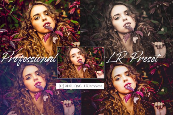 Download 25 Professional Lightroom Preset - Professional Collection